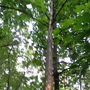 ���� �����, ������, 64 ���� - ��������� 6 ������ 2015 � ������ ���� ����������