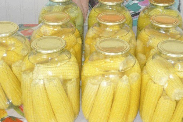 КУКУРУЗА КОНСЕРВИРОВАННАЯ В ПОЧАТКАХ.Вкусная, будто только что приготовленная, молочной ...