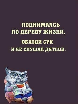 Art & Fun - 19 ������� 2016 � 15:33