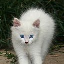 ���� ����, ������, 39 ��� - ��������� 23 ������� 2016