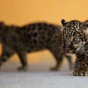 ���� Viktor, ����� - ��������� 28 ������� 2015 � ������ ���� ����������