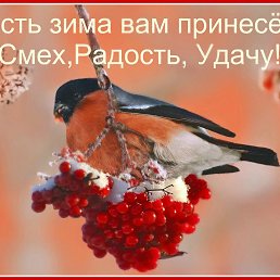 ���� �, �������, 55 ��� - ��������� 20 ������ 2016