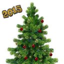  ******, , 53  -  19  2015    