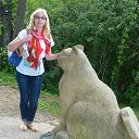 ���� �������, ������ - ��������� 8 ������� 2015