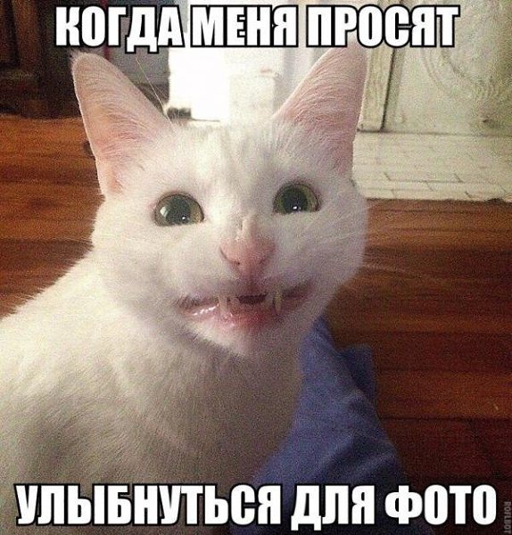       - 8  2015  23:30