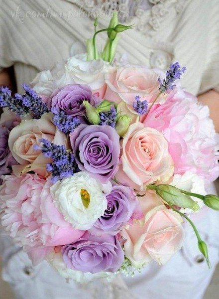 Очень сложно описать словами Нежность... Это то, что невозможно передать... Это – Чувства переходят ...