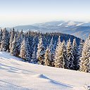 ������� ������� �� ������� ���� ����������