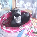 ���� ������, ����� - ��������� 10 ������ 2016 � ������ ������ ��������