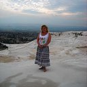 ���� ����, ����, 66 ��� - ��������� 24 ������� 2015 � ������ ���� ����������