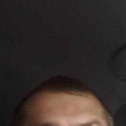 ����, ������, 40 ���