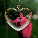 ���� ����, ������, 45 ��� - ��������� 11 ������ 2015 � ������ ���� ����������