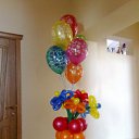 ���� ���, �����-���������, 43 ���� - ��������� 1 ������� 2016 � ������ ������� �� ��������� �����