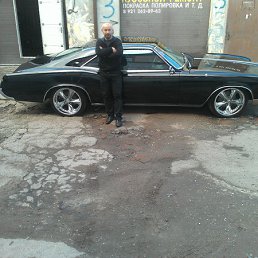 ����, �����������