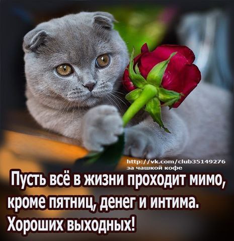 ***Victoria Viktorovna*** - 25  2015  14:59
