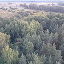 ���� �����, ����, 47 ��� - ��������� 26 �������� 2015 � ������ �Priroda�