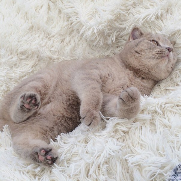   - 29  2015  13:46 - 4