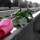 ���� �������, �����, 53 ���� - ��������� 5 ������ 2016 � ������ ������ ��������