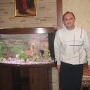 ���� �, ������ - ��������� 28 ������� 2015