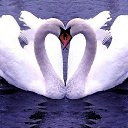 ���� ���������, ������ - ��������� 2 ����� 2016 � ������ ������ ��������