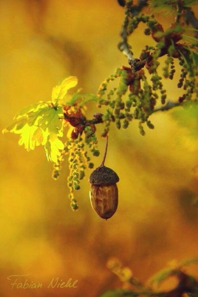 Art & Fun - 2  2015  09:06