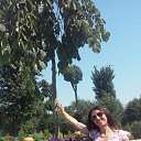 ���� �����, �����, 41 ��� - ��������� 17 ������� 2015 � ������ ���� ����������