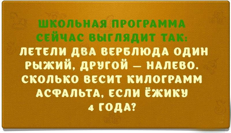 Левая другая. Два верблюда один рыжий другой налево. Летели два верблюда один рыжий. Летели 2 верблюда 1 рыжий другой налево. Задача летели два верблюда один рыжий другой.