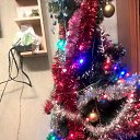 ���� �����, �����-���������, 55 ��� - ��������� 19 ������� 2015 � ������ ���� ����������