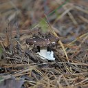 ���� �, �������� - ��������� 12 ������� 2015 � ������ ���������