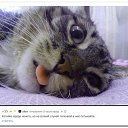 ���� �.., ������, 53 ���� - ��������� 26 ������ 2016 � ������ ���� ����������