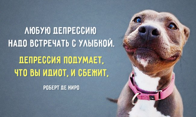 10 веских причин улыбаться как можно чаще.Улыбка — не просто признак хорошего настроения и ...