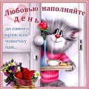 ���� ������, ����, 58 ��� - ��������� 25 ������ 2015 � ������ ���������