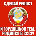  , , 51  -  10  2015   cccp