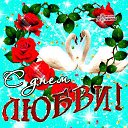 ���� ������, ����� - ��������� 13 ������� 2016 � ������ ������ ��������