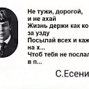 ���� ������, ������������ - ��������� 26 ������� 2015 � ������ ������ ��������