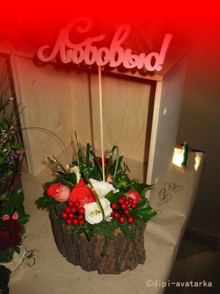 dipi-avatarka - 13  2016  20:27