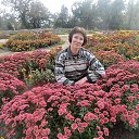 ���� �����, ����� - ��������� 28 ������ 2016 � ������ ���� ����������