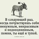���� �������, ����������� - ��������� 8 ������� 2016 � ������ ���������