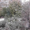 ���� ����, ������, 42 ���� - ��������� 9 ������� 2015 � ������ ������ ��������