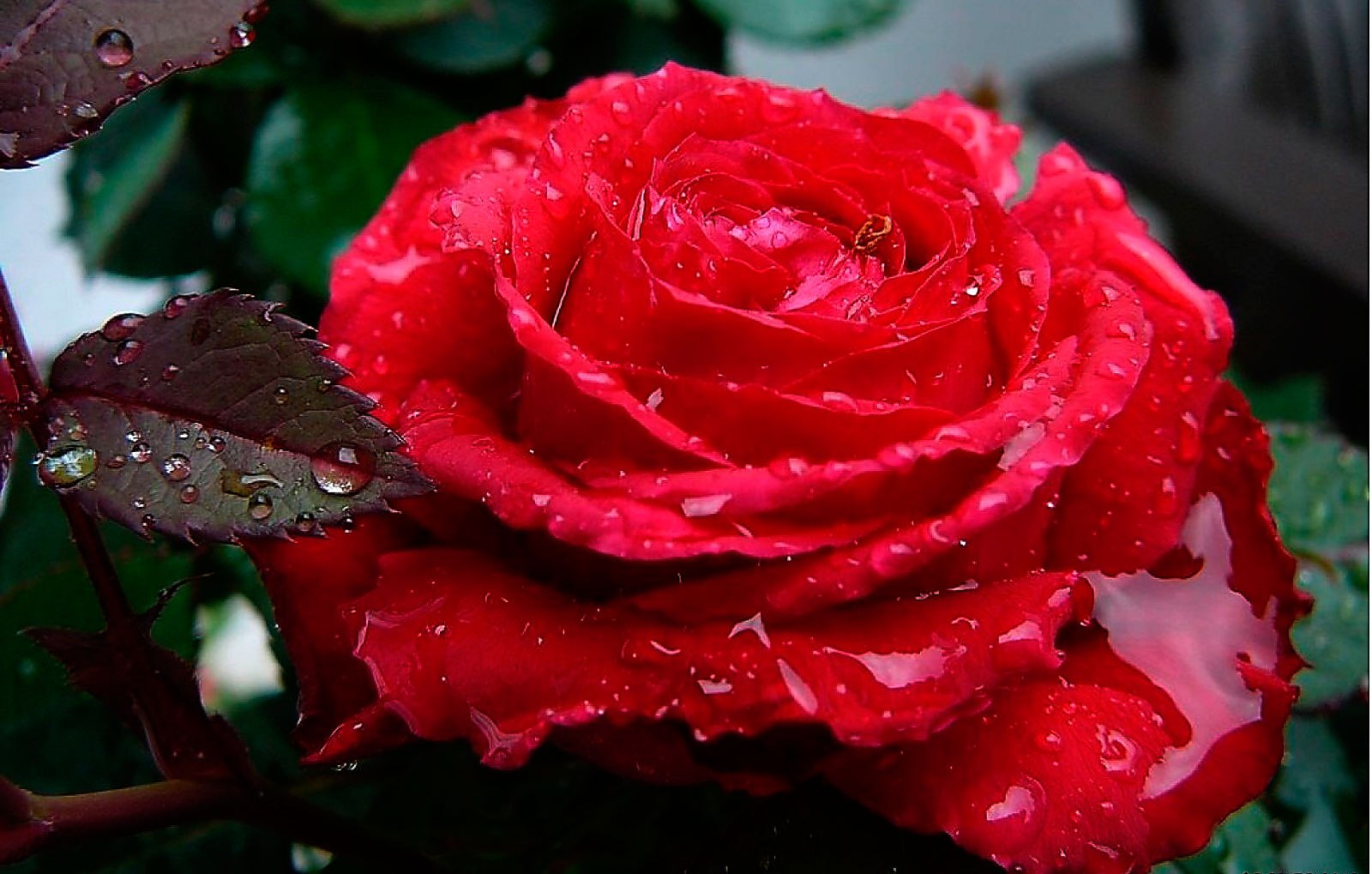 ��������� ������� � �������� �����. ������ �� ���������? - 3