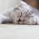 ���� �������, ��������� - ��������� 10 ����� 2016 � ������ ������