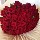 ���� Irina, ������ - ��������� 24 ������� 2016 � ������ ������