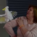 ���� �������, �����, 66 ��� - ��������� 3 ������� 2016 � ������ ���� ����������