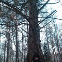 ���� ����, ����������, 47 ��� - ��������� 23 ������ 2015 � ������ ���� ����������