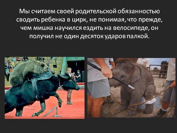 �������� � ������, ����� �������� �� ������ ����� ����� � �����, � ��� ������� - �������. ����� ��� ... - 5