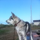 ���� Alexey, ��������, 48 ��� - ��������� 10 ������� 2015