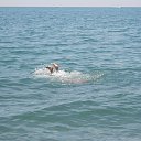 ���� �����, ������, 48 ��� - ��������� 17 ������� 2016