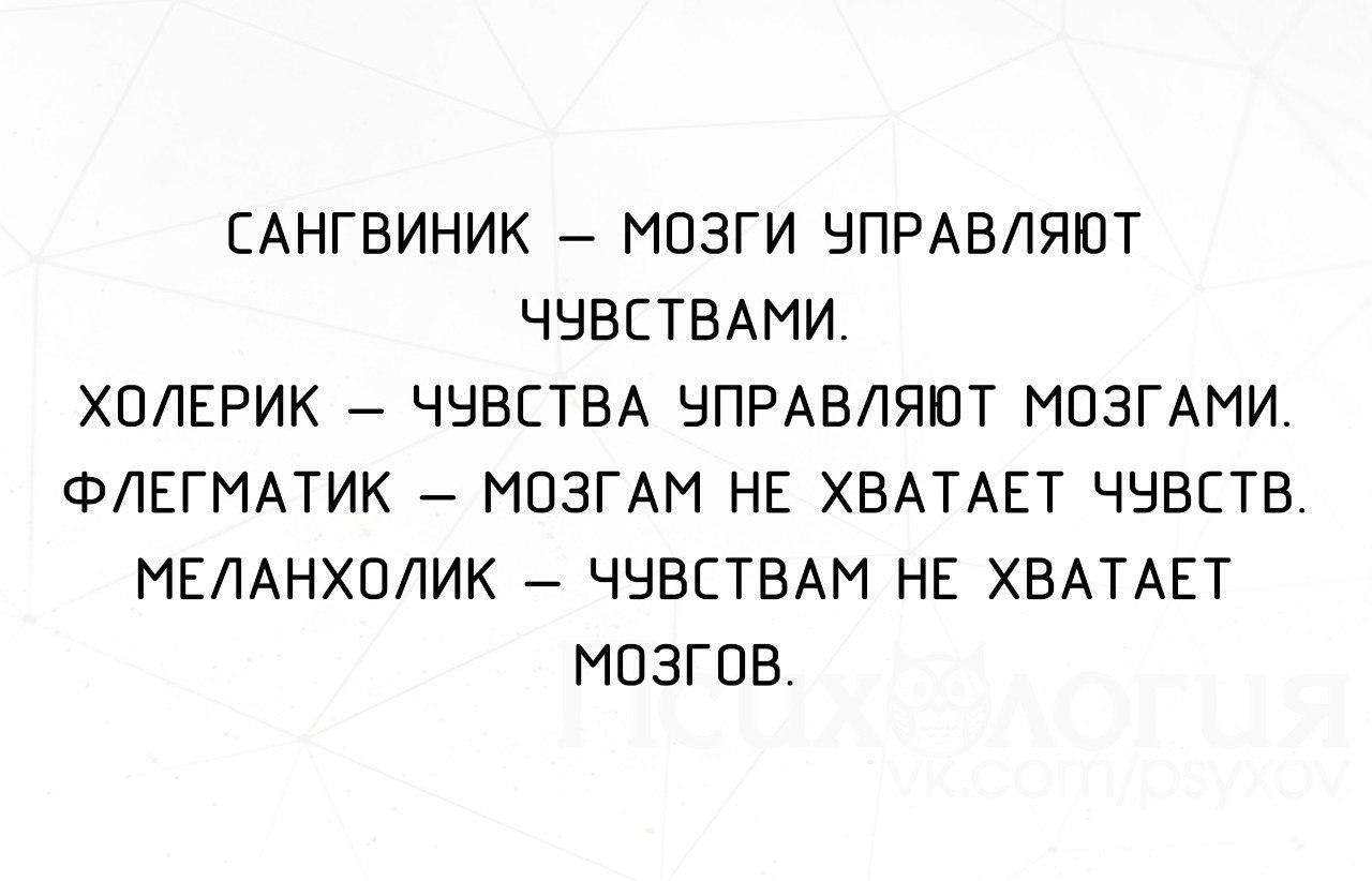 Темперамент кота. Мозги управляют чувствами. Сангвиник чувства управляют мозгами. Мозги управляют чувствами. Мозгам не хватает чувств.