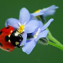 ���� ���������, ������ - ��������� 8 ������� 2015 � ������ ������ ��������