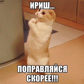 а вот приколы - 2