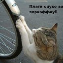���� ���������, ����������� - ��������� 22 ������� 2016 � ������ ���� ����������